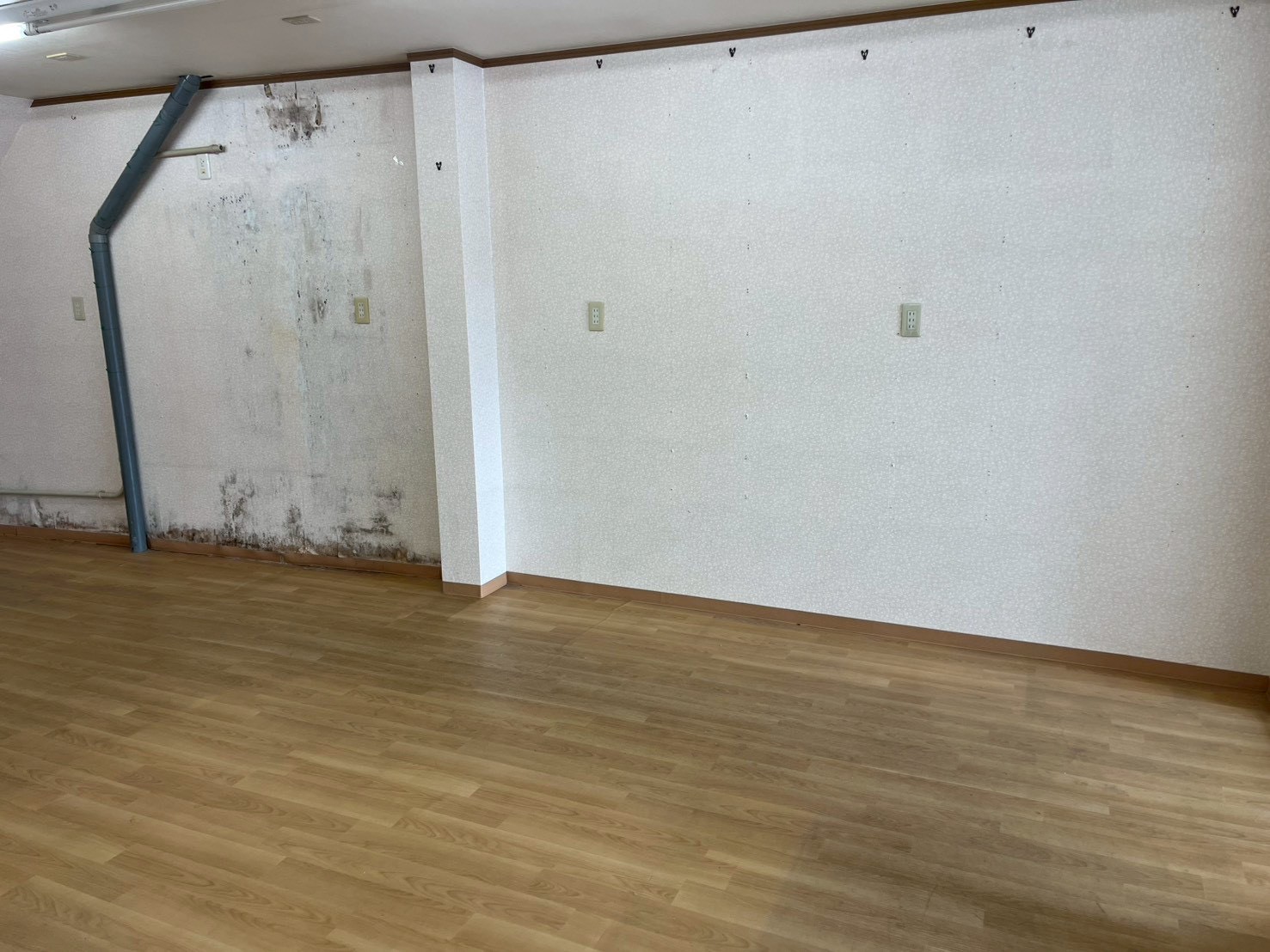 【板橋区】賃貸退去期限直前に依頼されたマンションの遺品整理事例 after